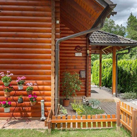 Apartma Metka Medvode Zewnętrze zdjęcie
