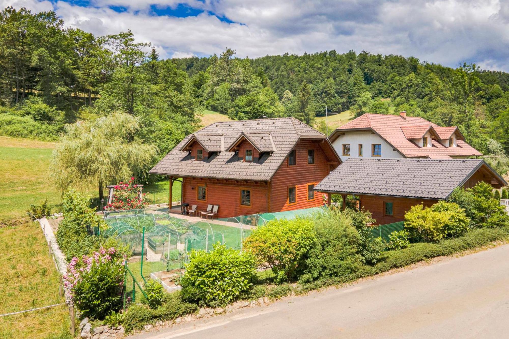 Apartma Metka Medvode Zewnętrze zdjęcie